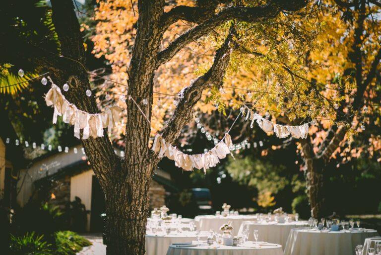 What you need to know: getting married in the backyard